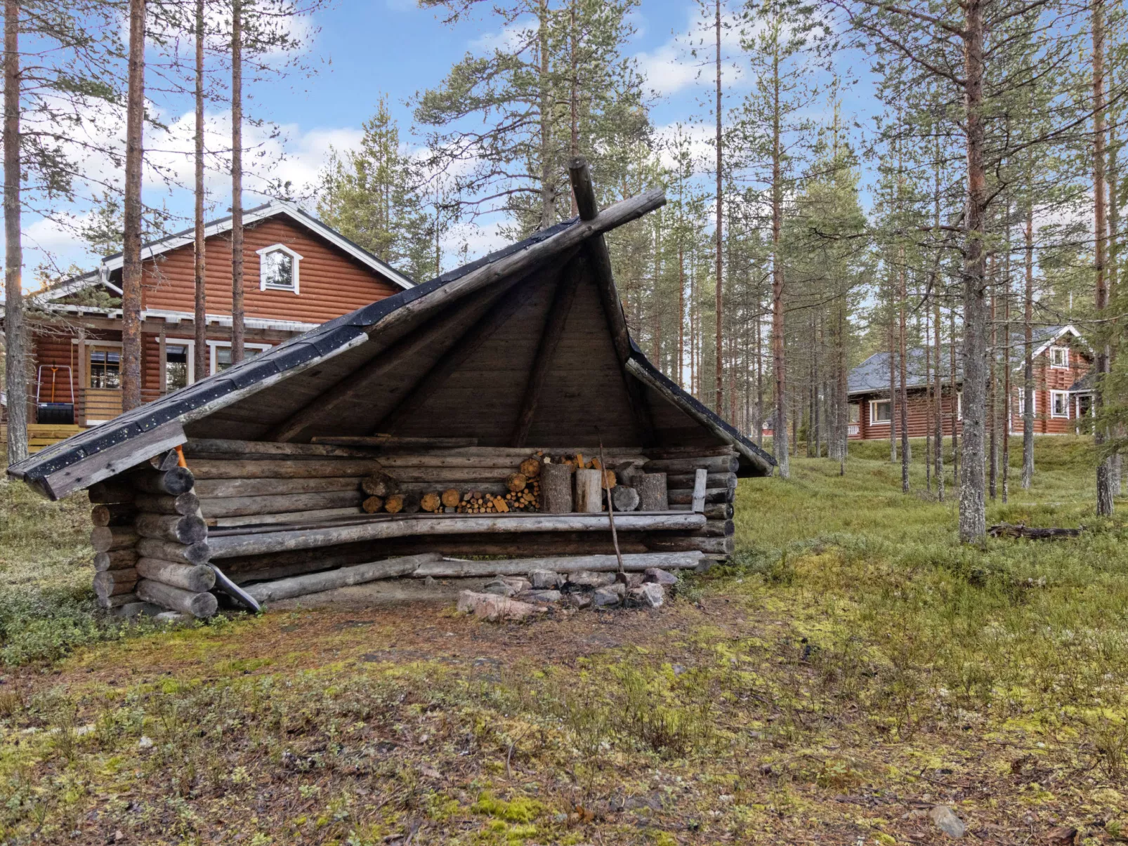 Kevätruska a-Dedans