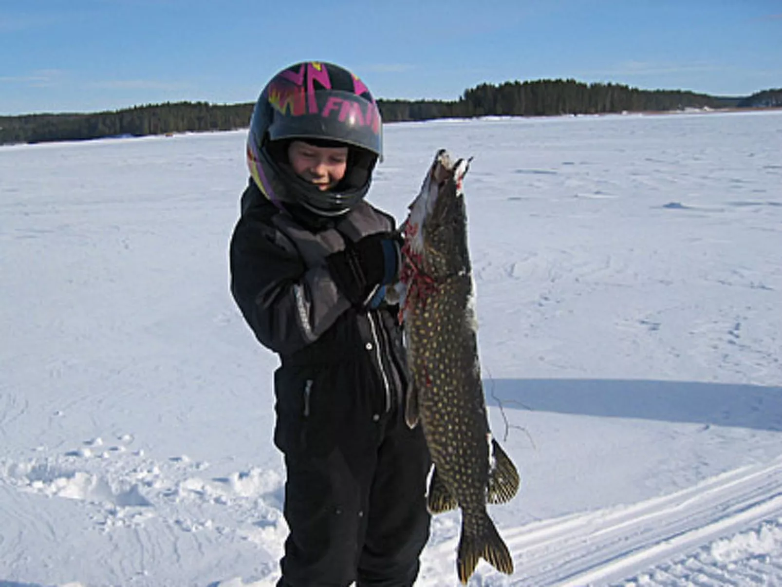 Viljamaan lomamökit 2-Dedans