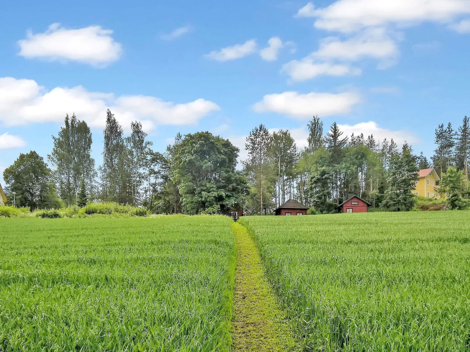 Pikkupehtoori-Dedans