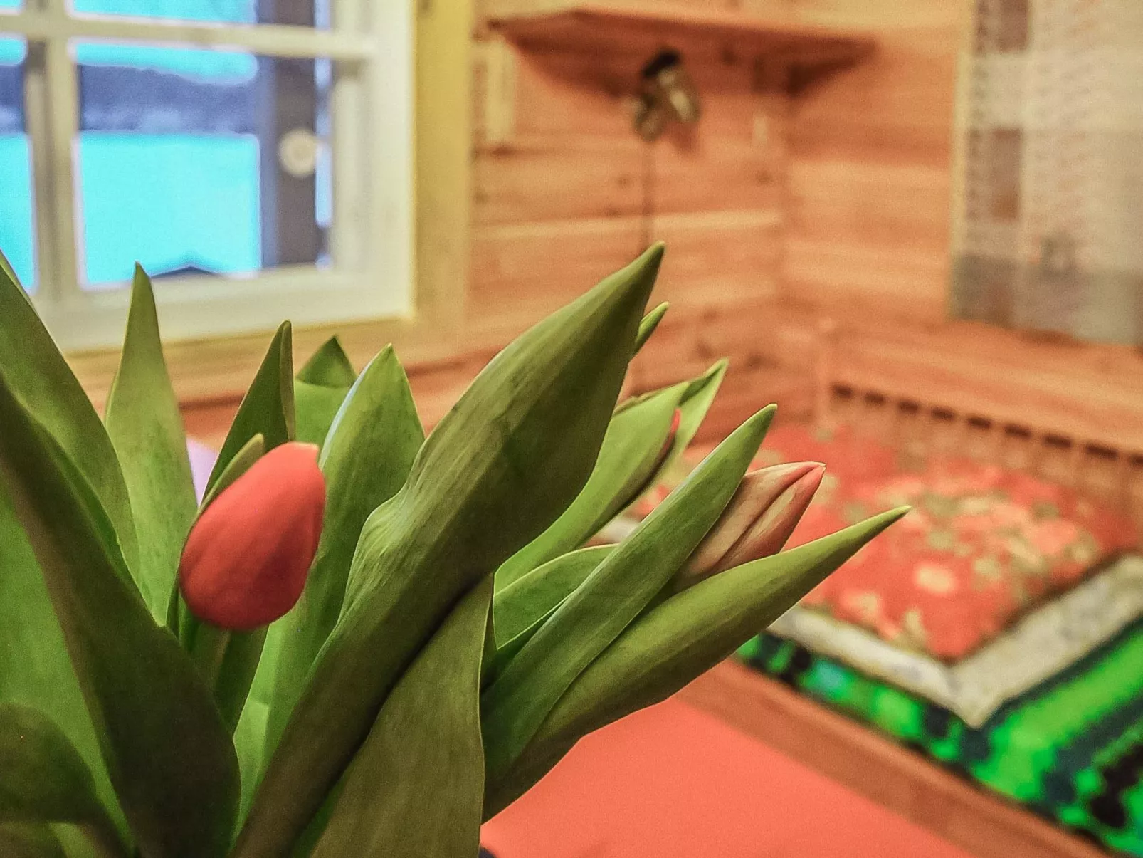 Villa siesta-Drinnen