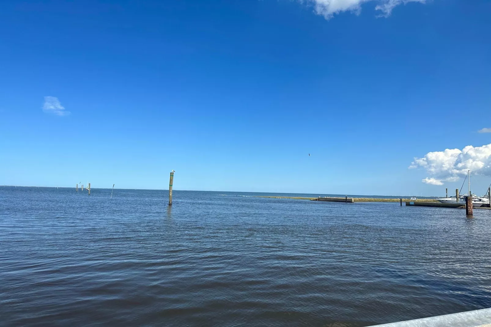 Ferienhaus Mühlenblick 07-Areas within 5km in summer