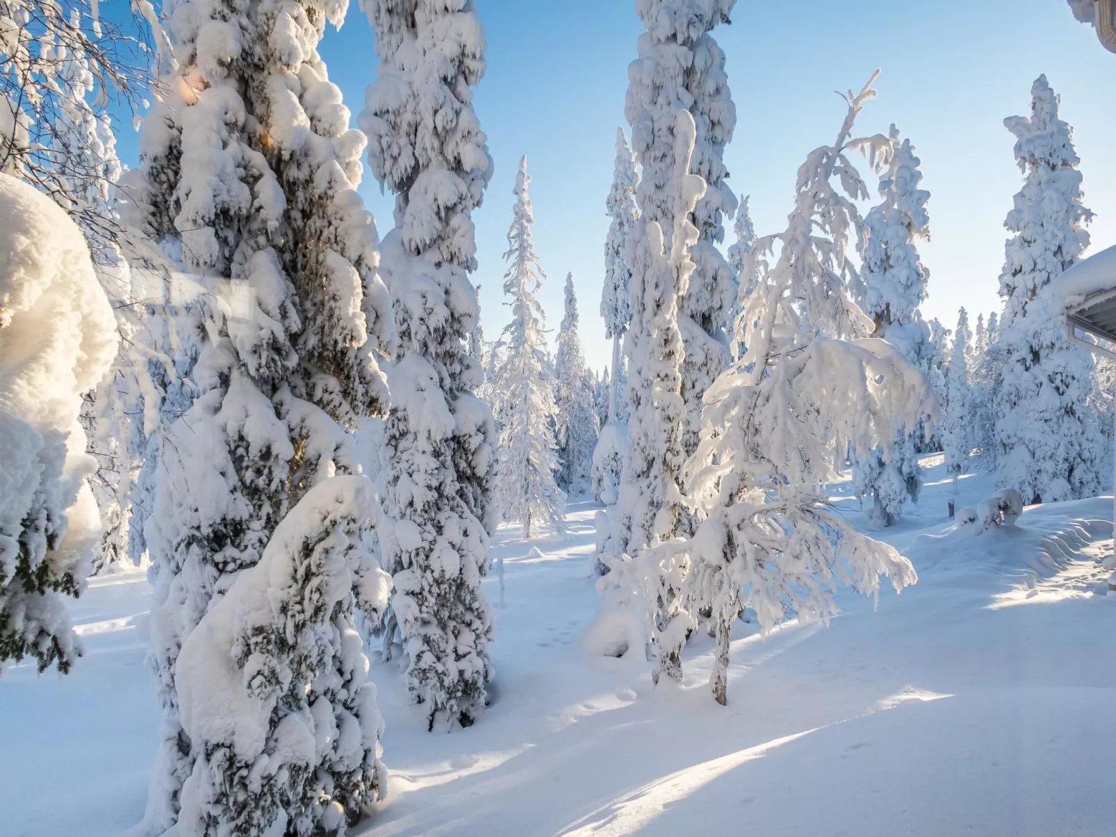 Vuosselinhovi c-Drinnen