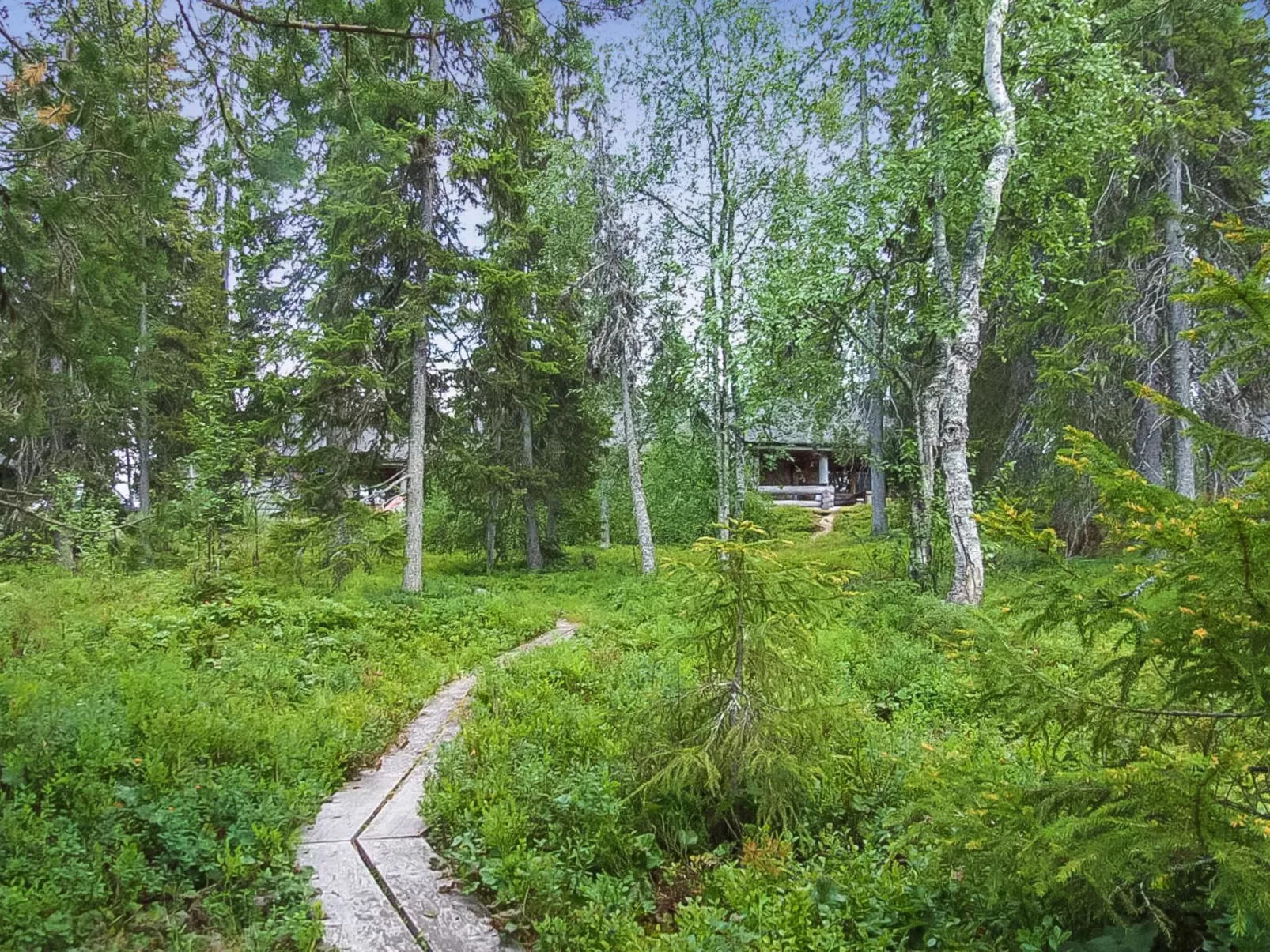 Seitsemän savua 6-Dedans