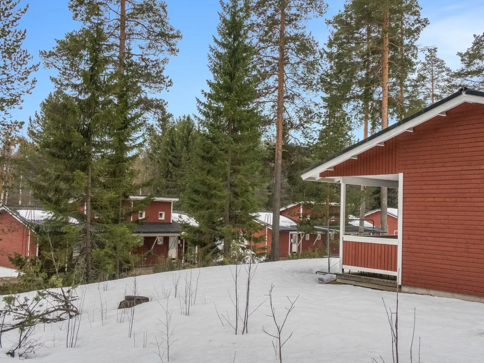 Lomakatti 7 b-Inside