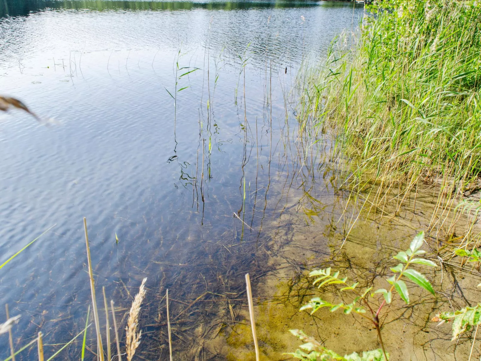 Blue lake villa-Dedans