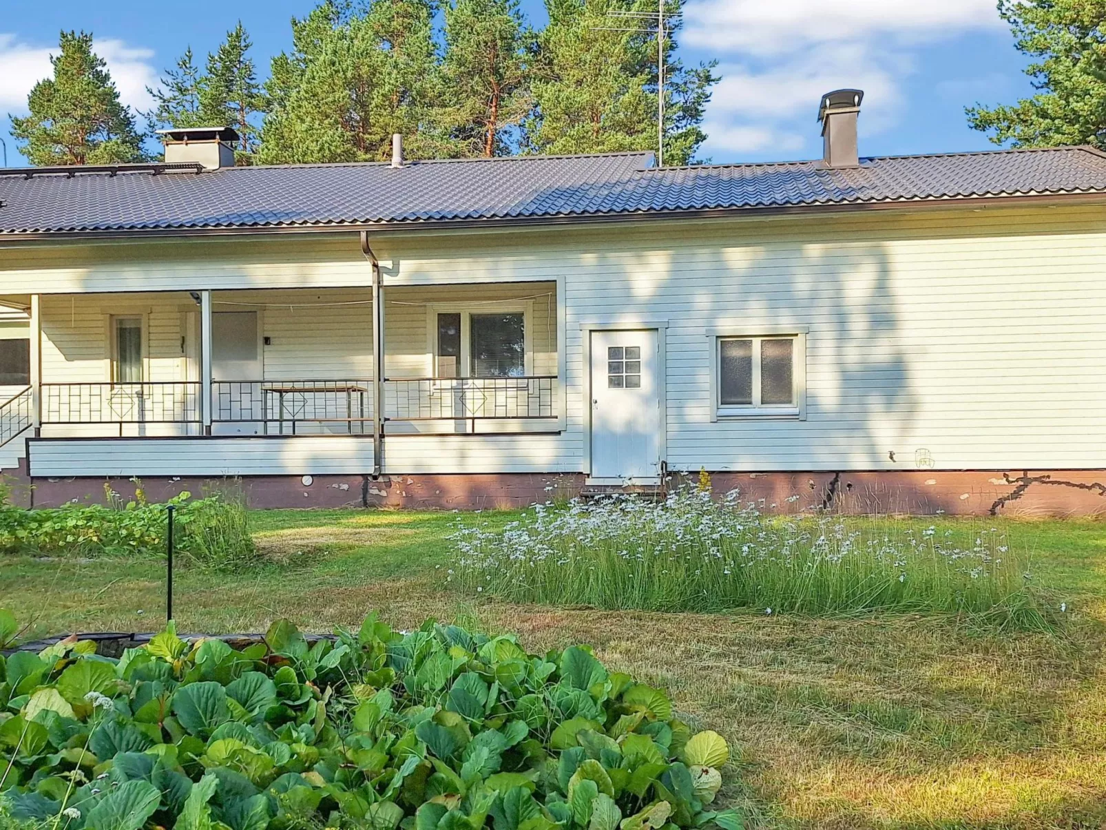 Kalamiehenkatu 6-Drinnen