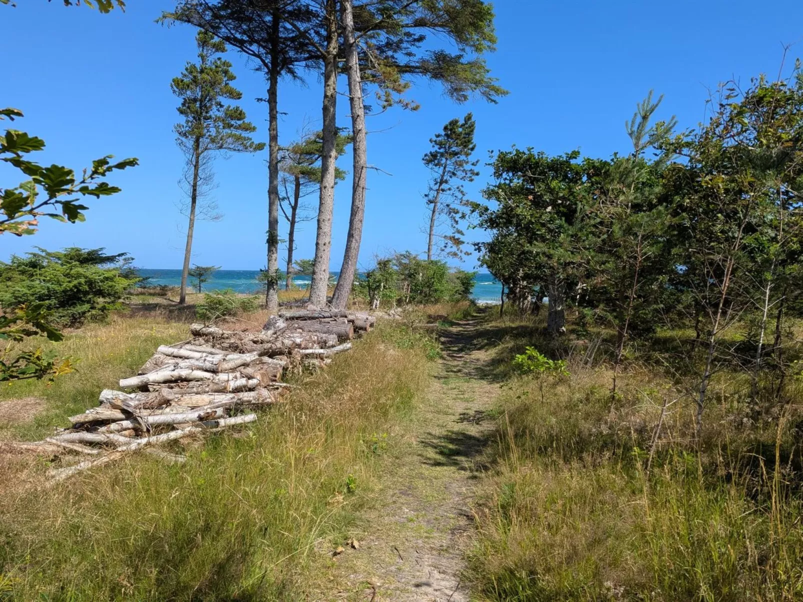 "Farman" - 200m from the sea-Draußen