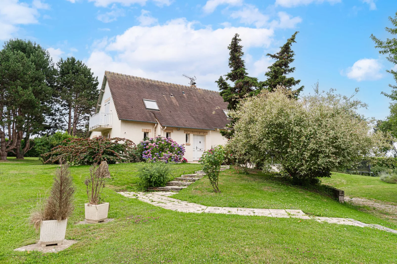 DEAUVILLE DJEBALI-Nicht zugeordnet