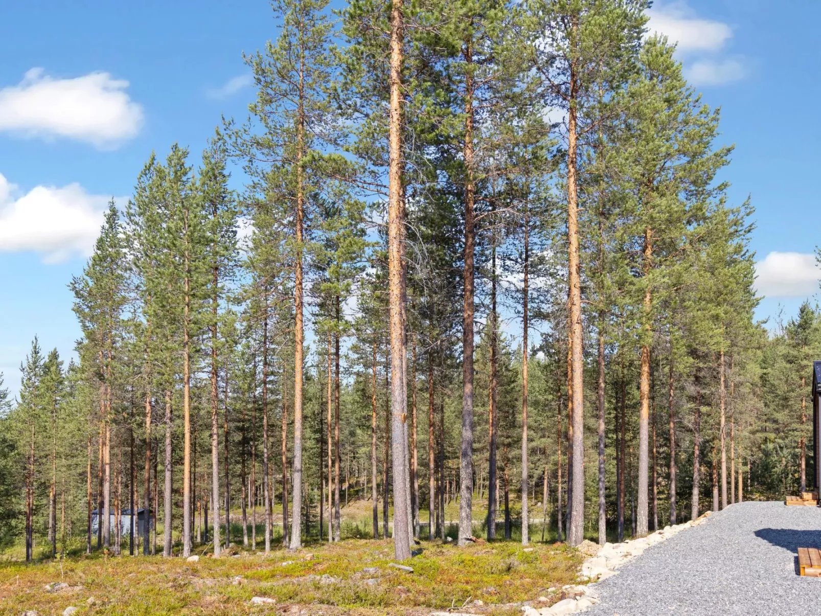 Visit pyhä cabins d-Drinnen