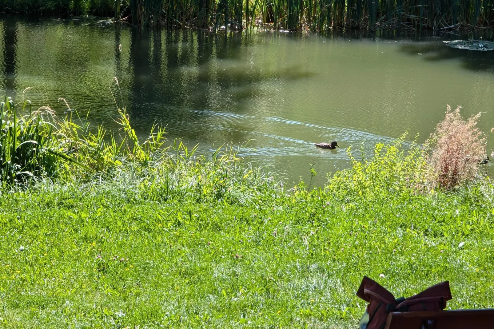 Ferienwohnung Freital - Dresden-Gebiete Sommer 5 km