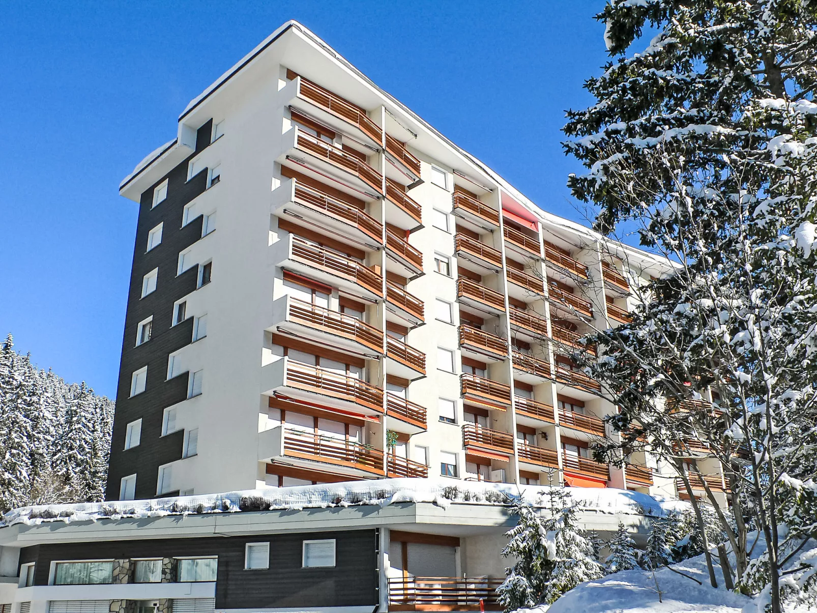 La Forêt ouest C120-Dehors