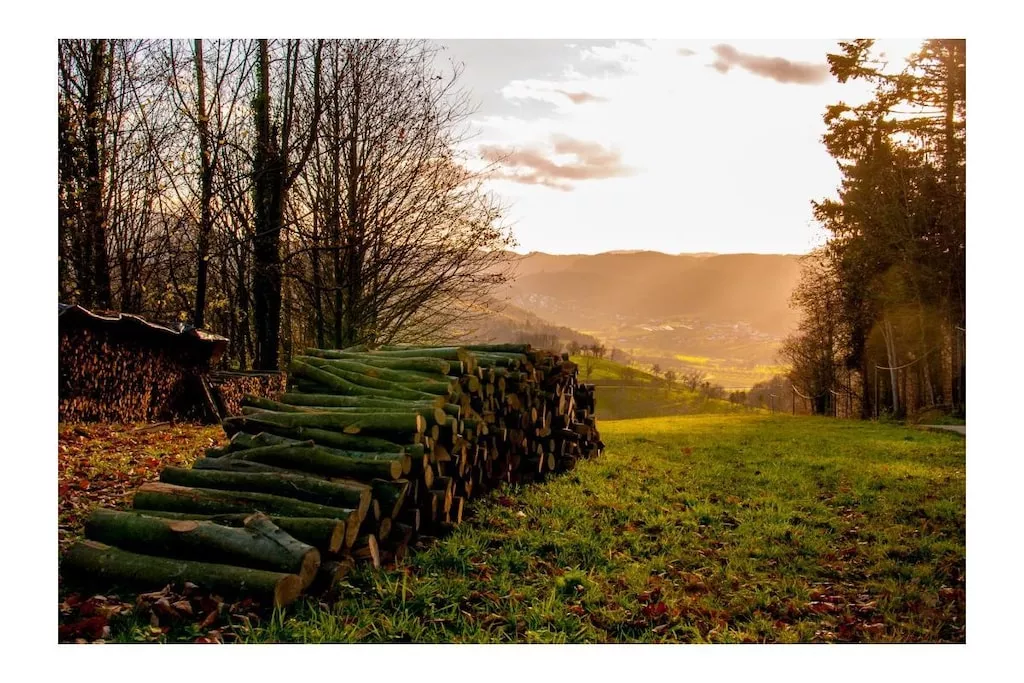 27350-Nicht zugeordnet