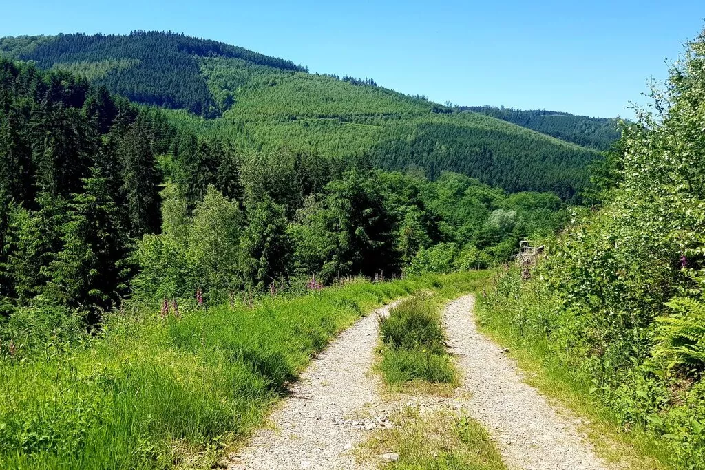 137960-Nicht zugeordnet