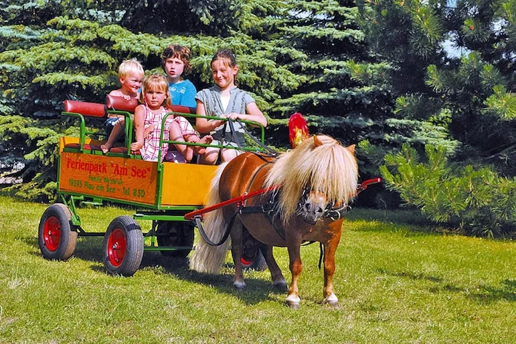 Ferienhaus in Plau am See 3SZ-Installations du parc