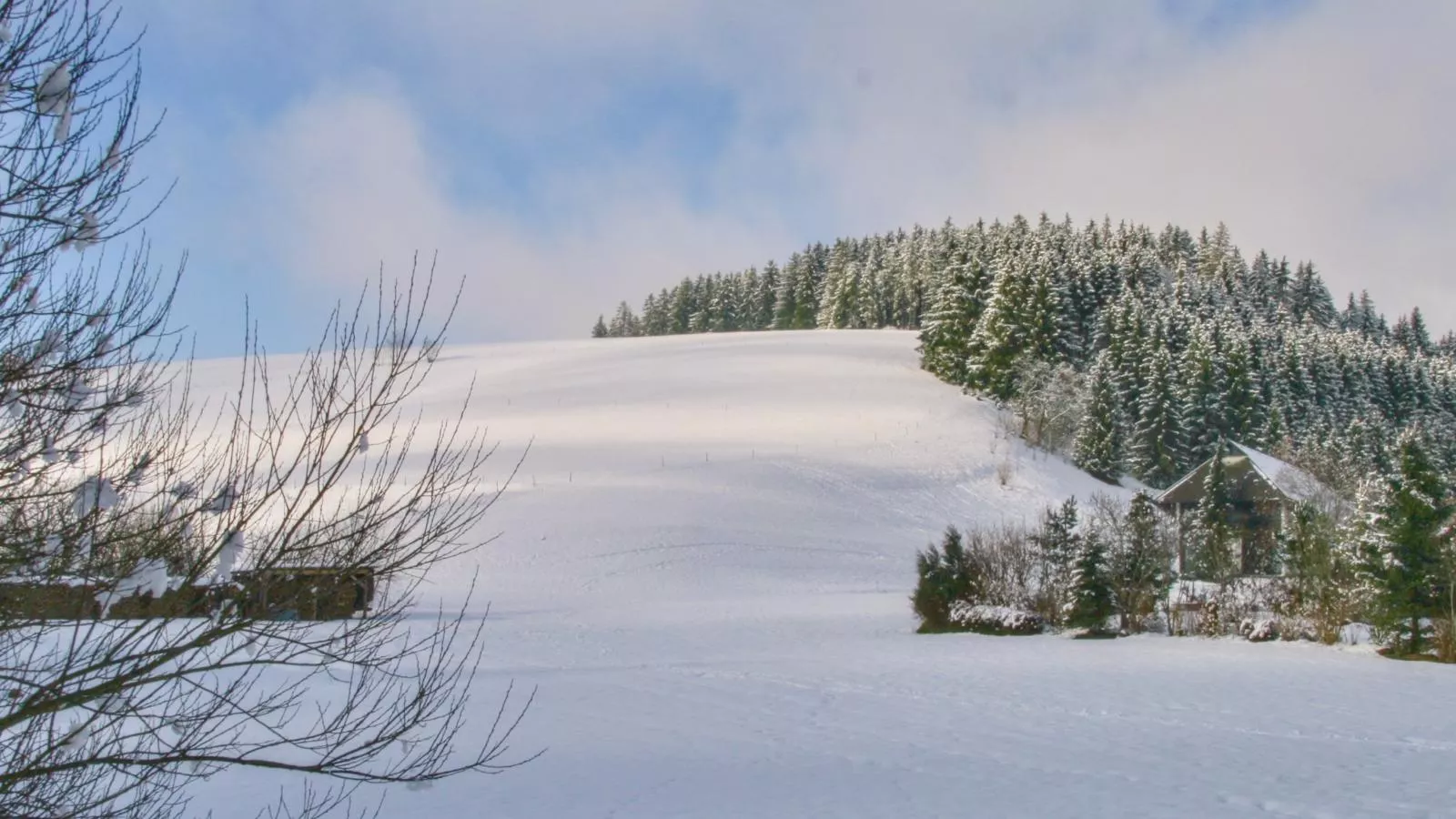 Alte Muehle-Zones hiver à 1 km