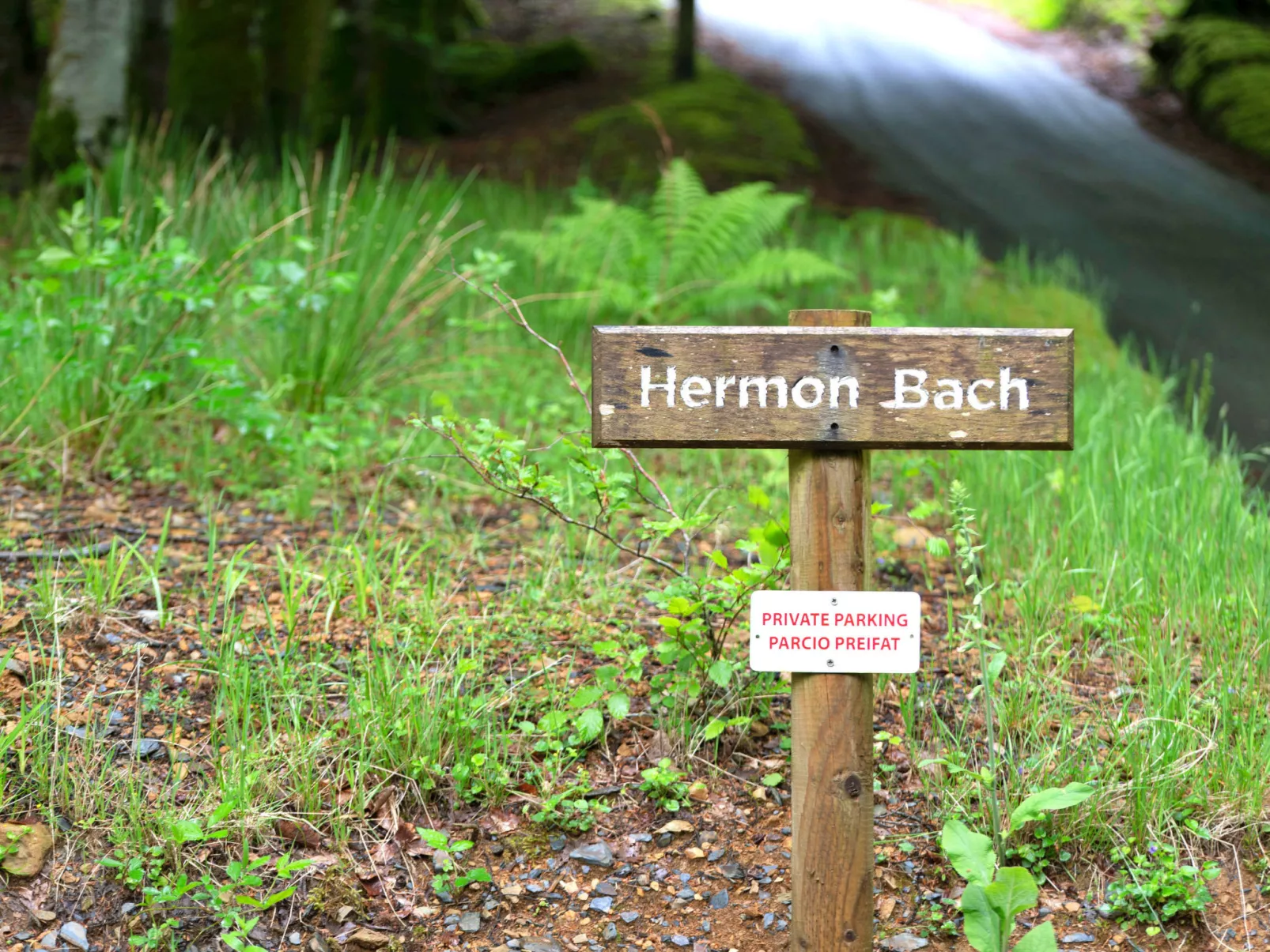 Hermon Bach-Dehors