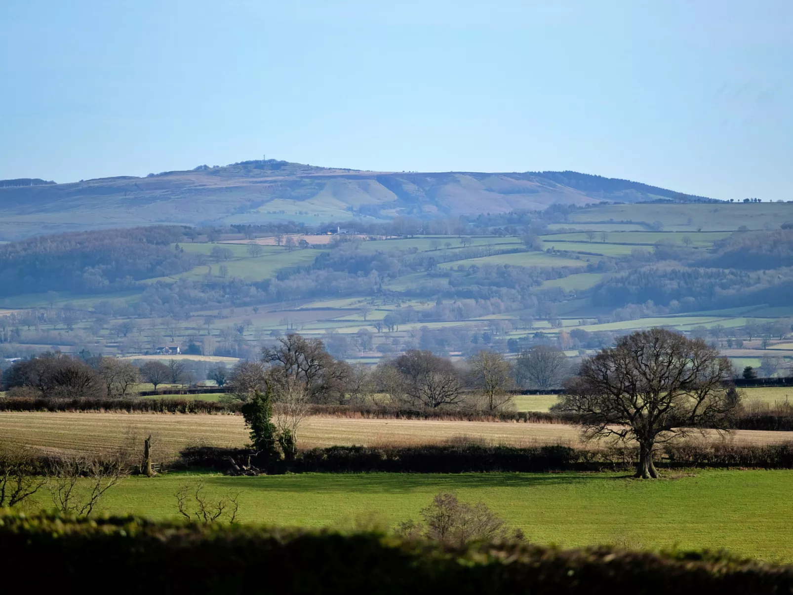 Walton Maisonette-Dedans