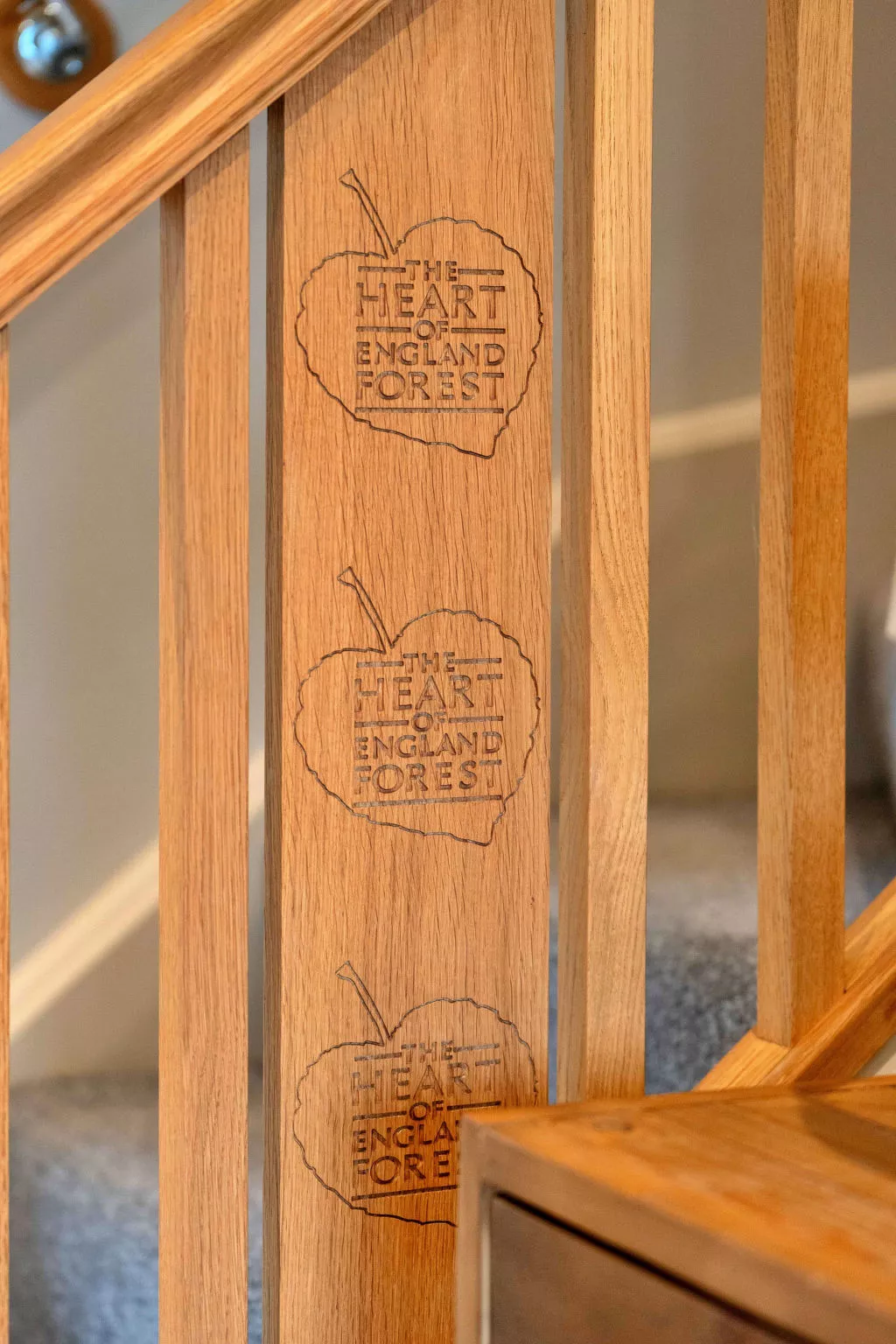 Acorn Cottage-Draußen