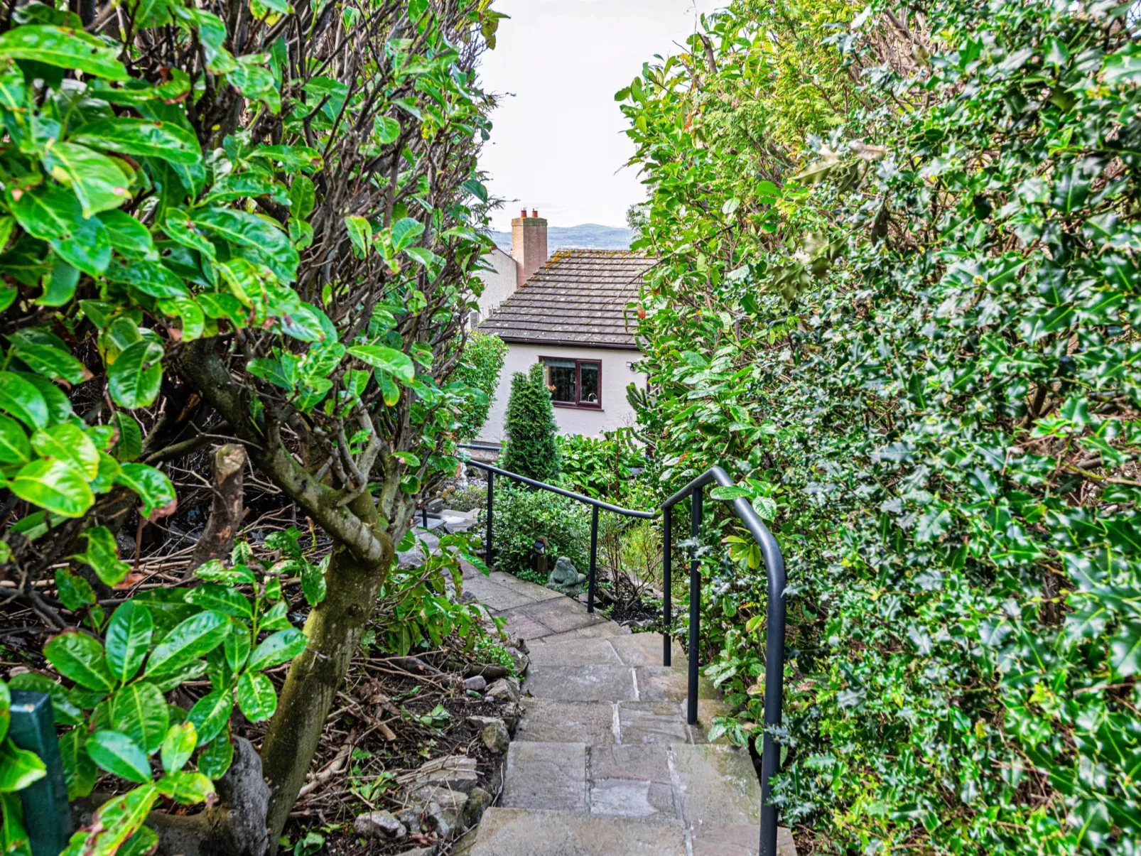 Cesail Y Mynydd-Dehors