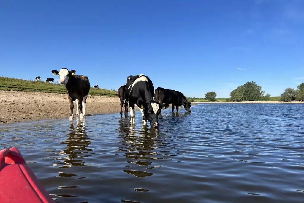 452844-Nicht zugeordnet