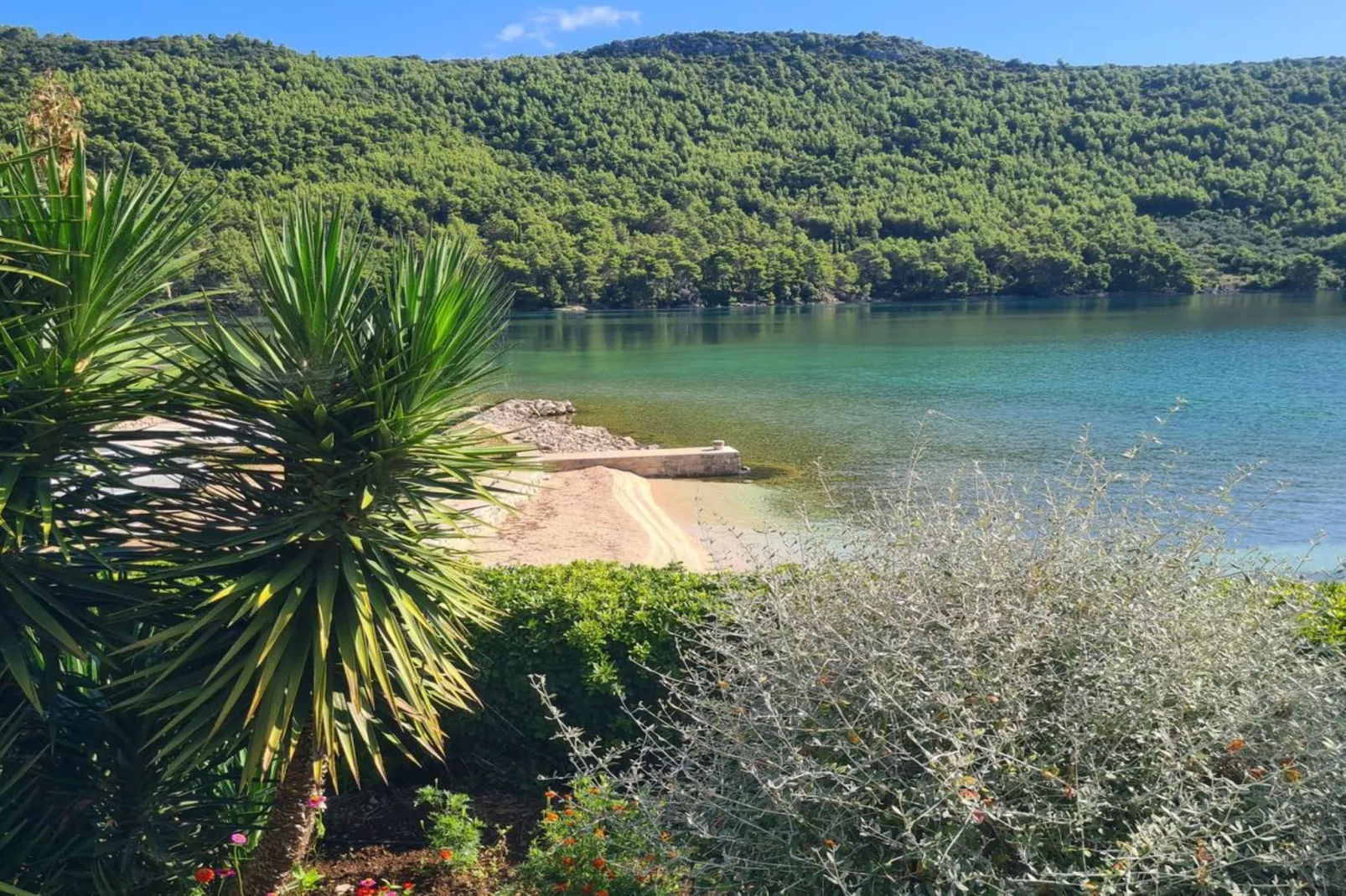 Four bedroom apartment-Ambiance