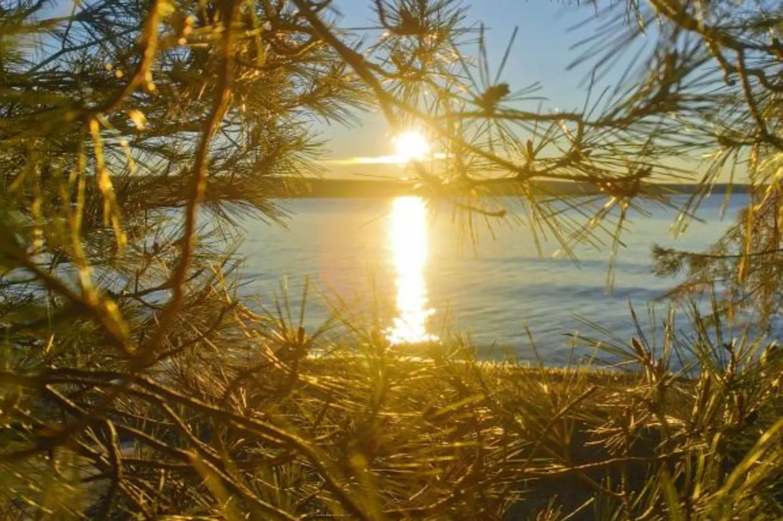 Apartments Adriana - Studio Apartment A2-Im Freien