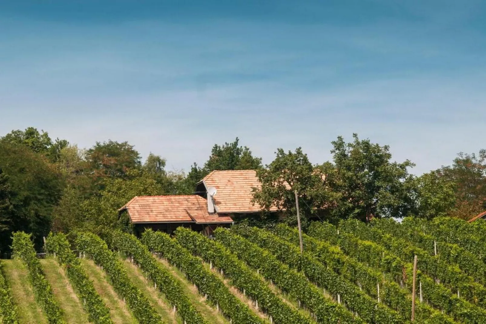 Rustic Charm Cottage Country House with Sauna - Five Bedroom  Holiday Home with Sauna-Outdoor