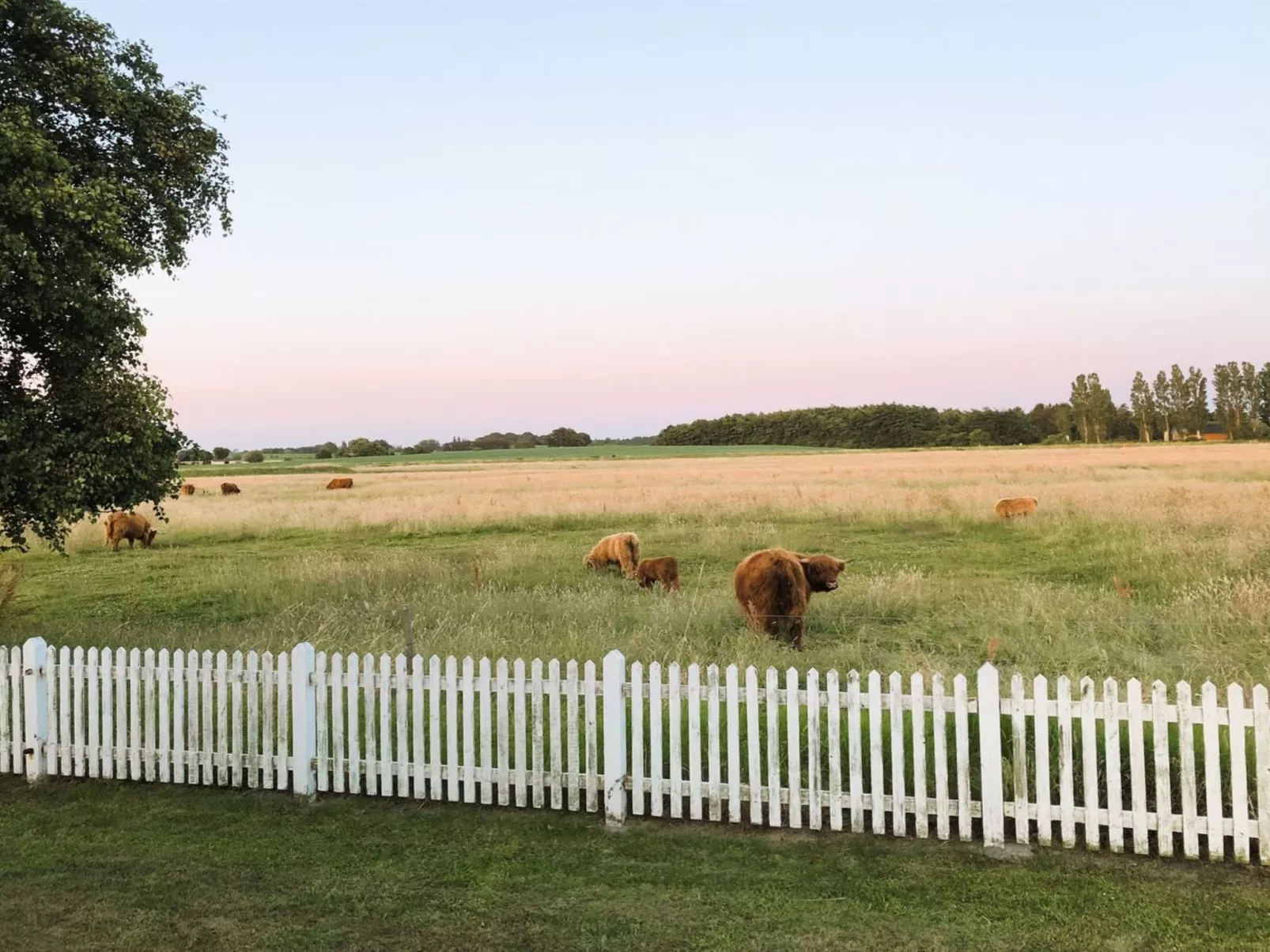 "Roya" - 100m from the sea-Dehors