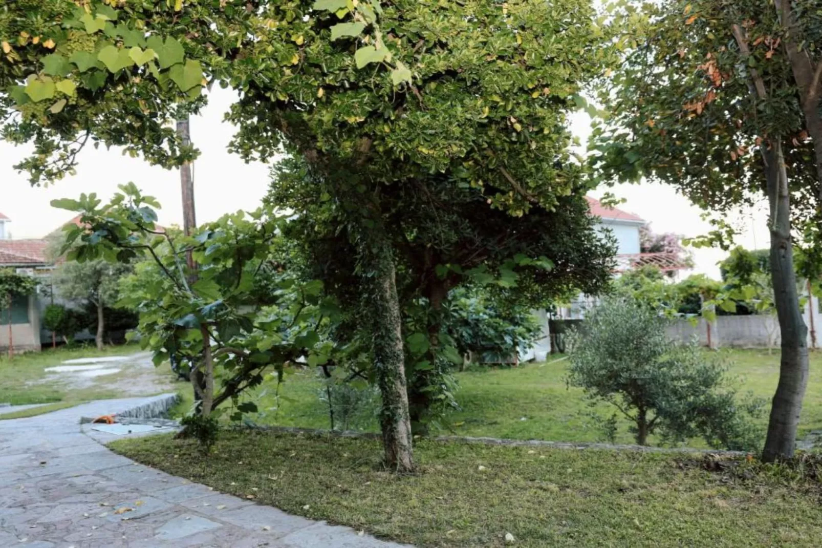 Stylish Apartment with Modern Elegance in Herceg Novi Area - Deluxe One Bedroom Apartment with Terrace-Im Freien