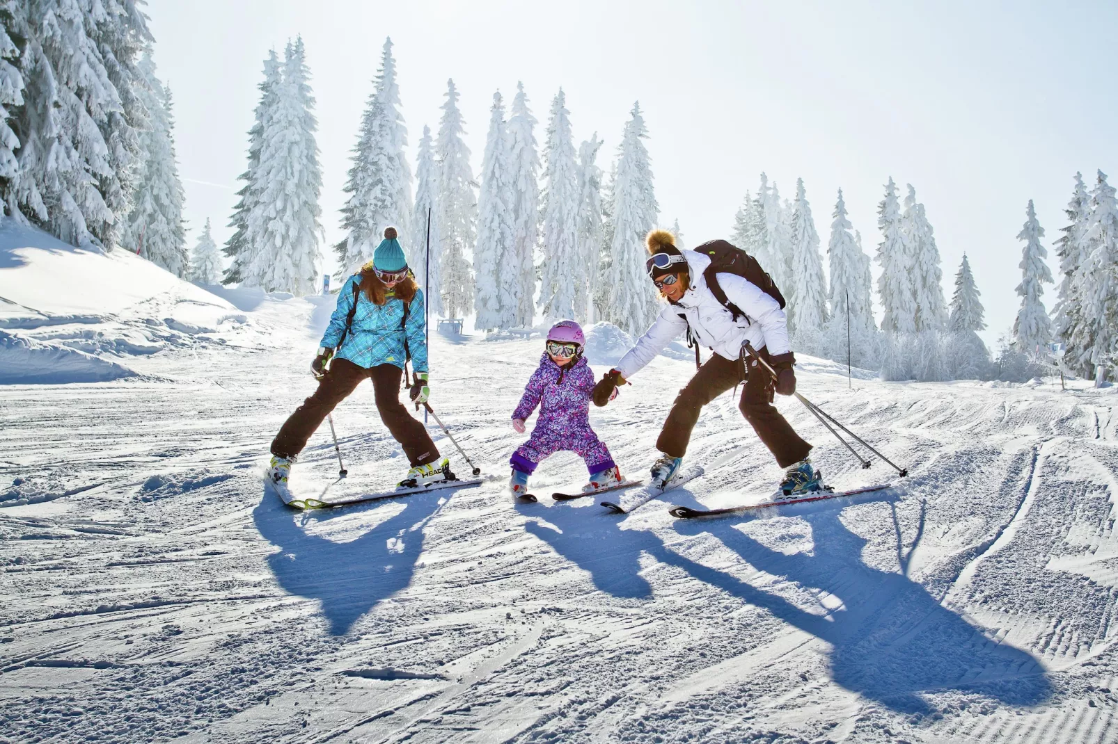 Les Sorbiers-Area within 20km in winter