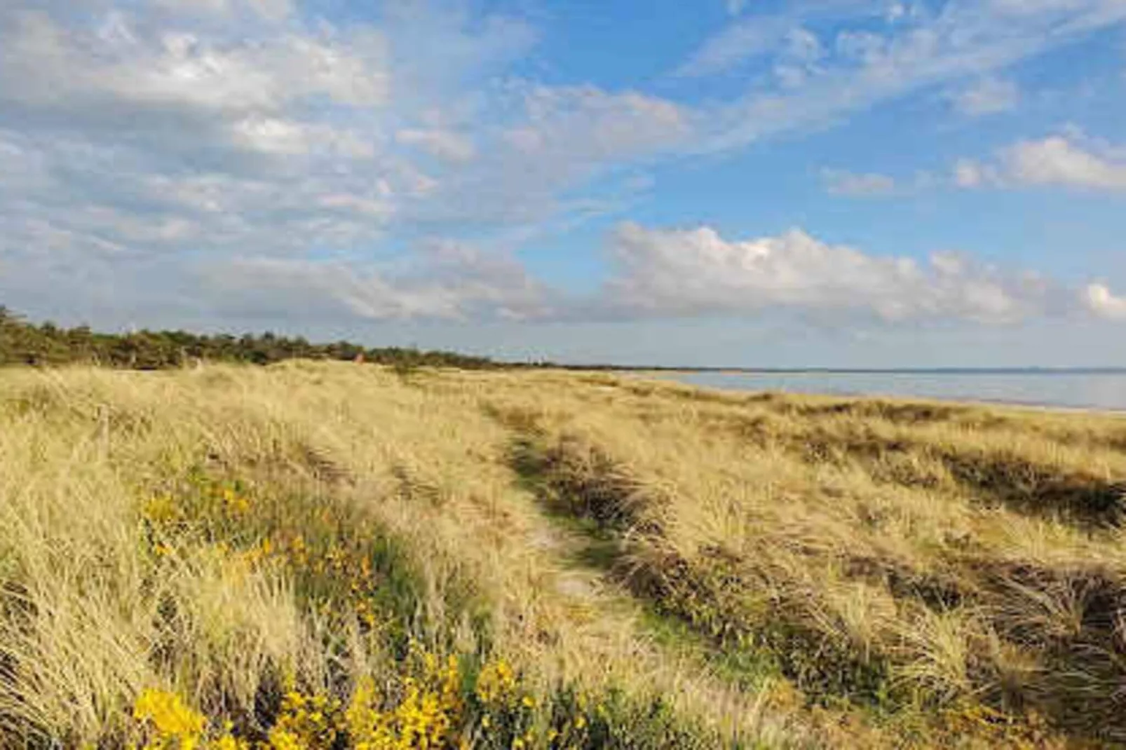 5 etoiles maison de vacances a Højby-Extérieur