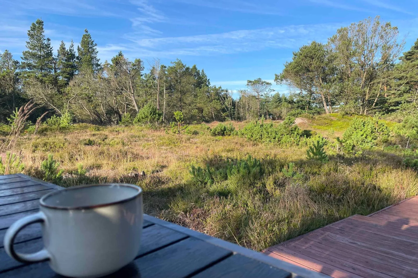 5 star holiday home in Ålbæk-Indoor