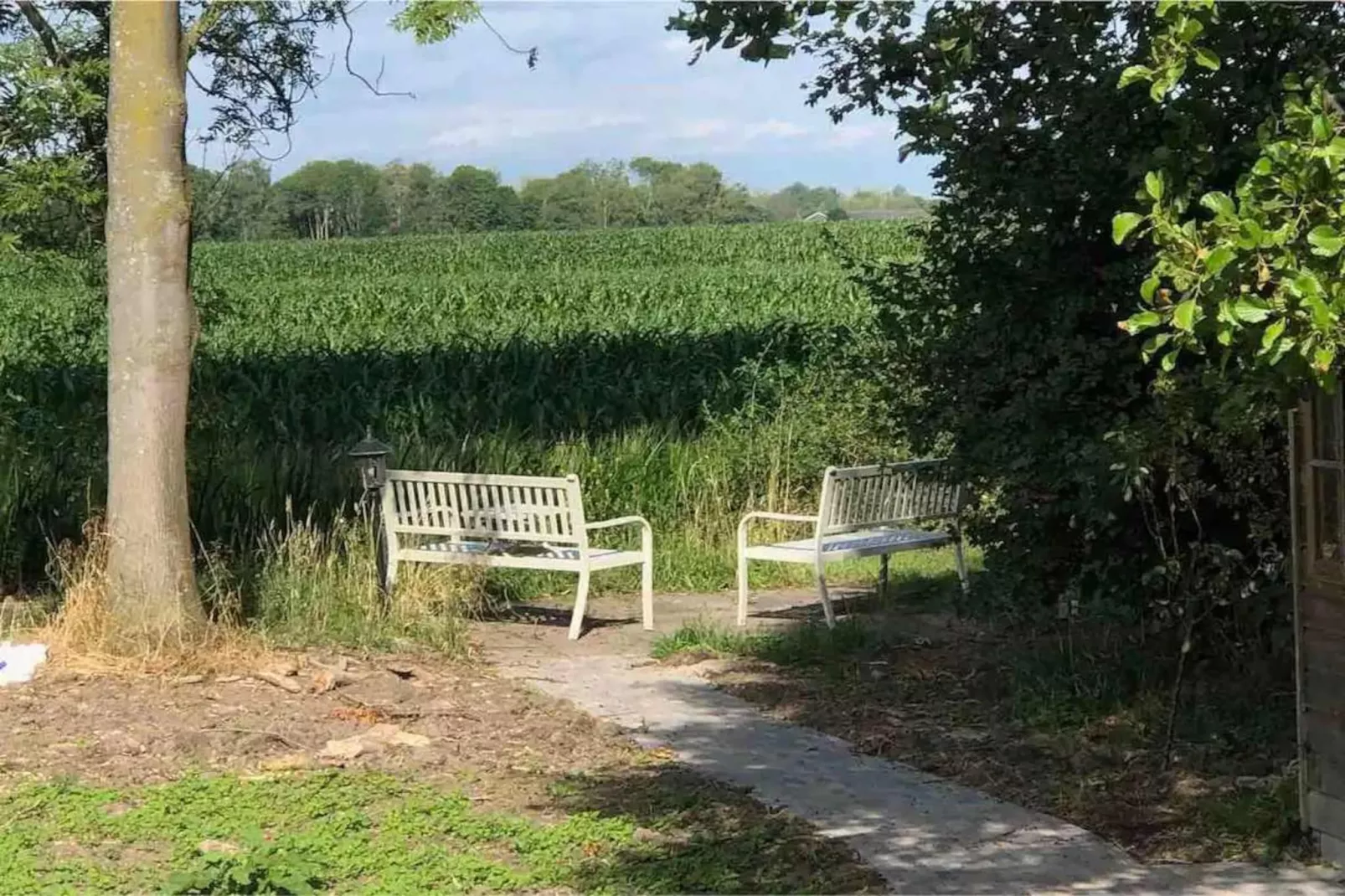 6 - Person Forest Pet & Family Bungalow-Gebiete Sommer 5 km