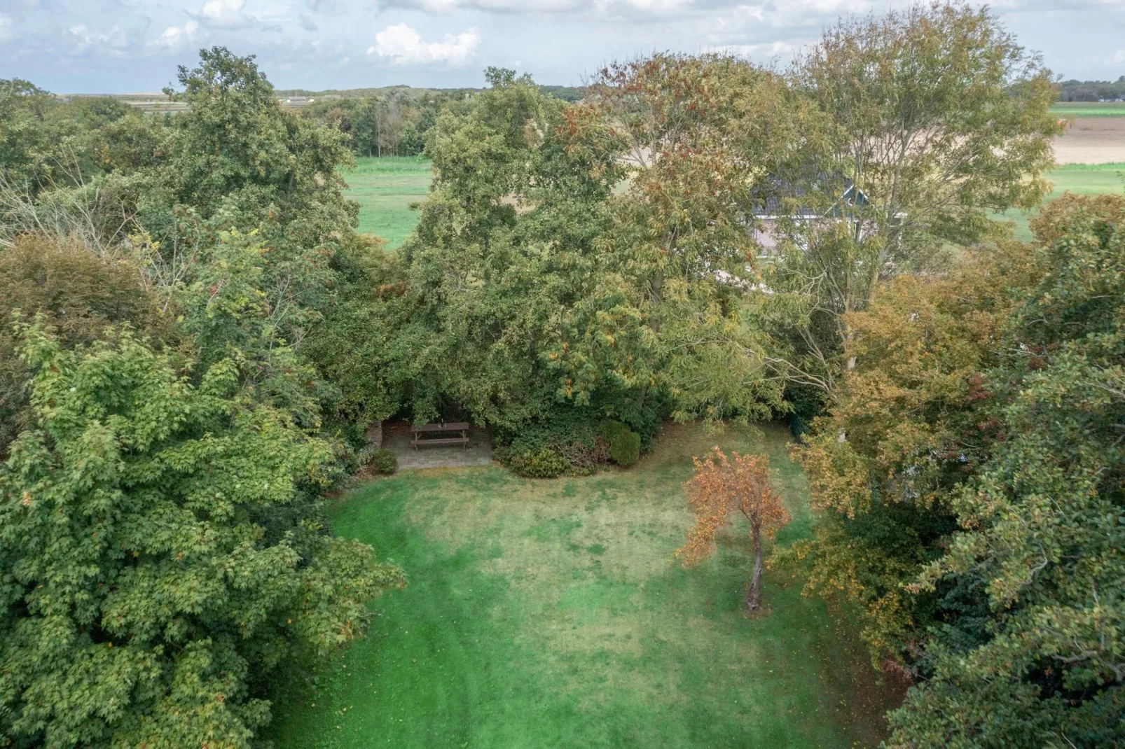 Het oude dijkje-Jardins en été