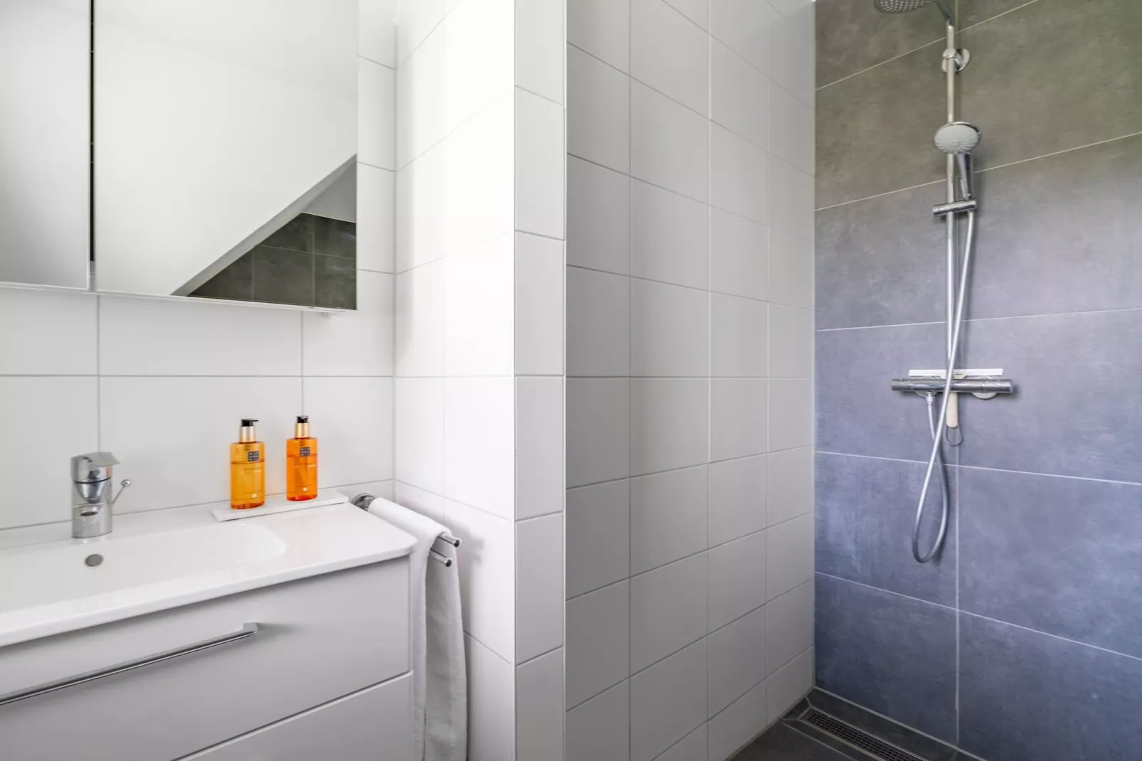 Hoogelandt 106F-Bathroom