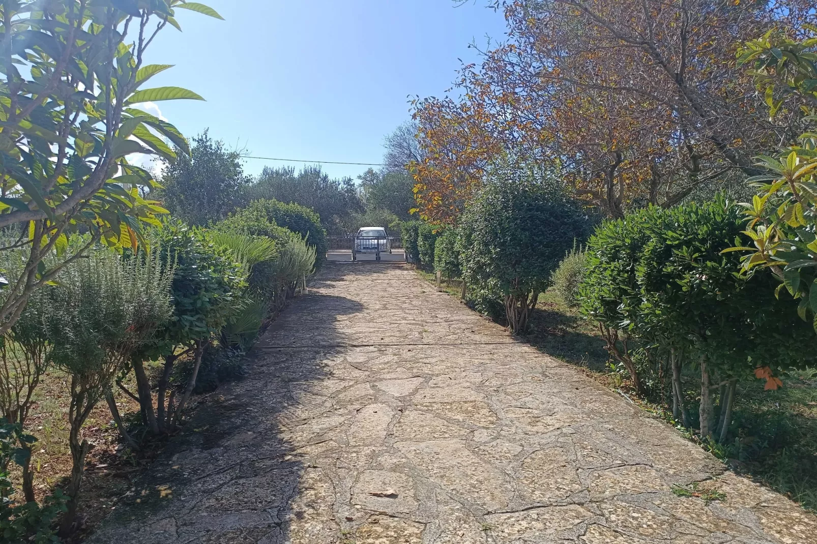 Holiday Home Višnja - Two Bedroom Holiday Home with Terrace - Outdoor