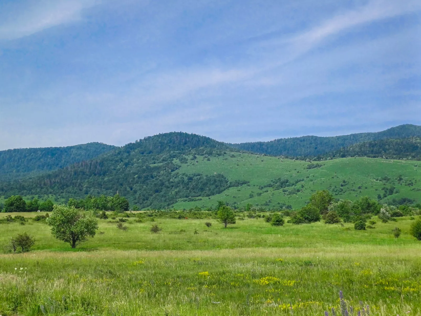 The Fox-Area