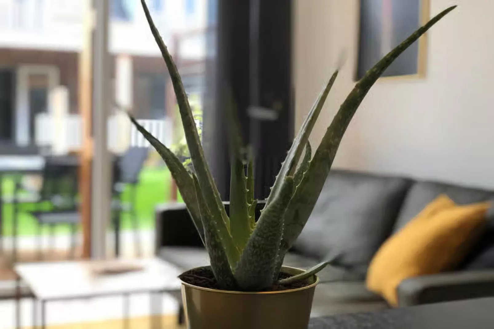 Plein 40 Lodge 23-Ambiance