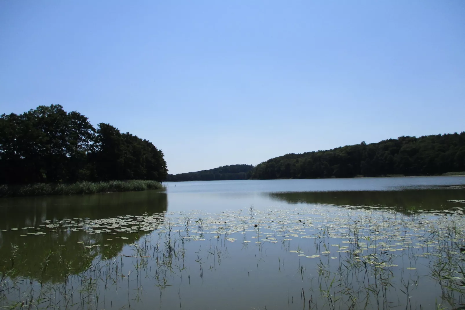 Green Hill Domysłów-Zones été à 1 km