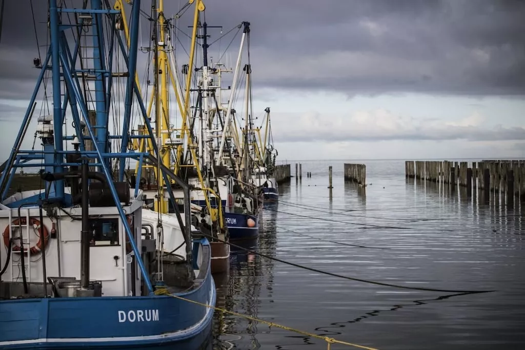 206358-Nicht zugeordnet