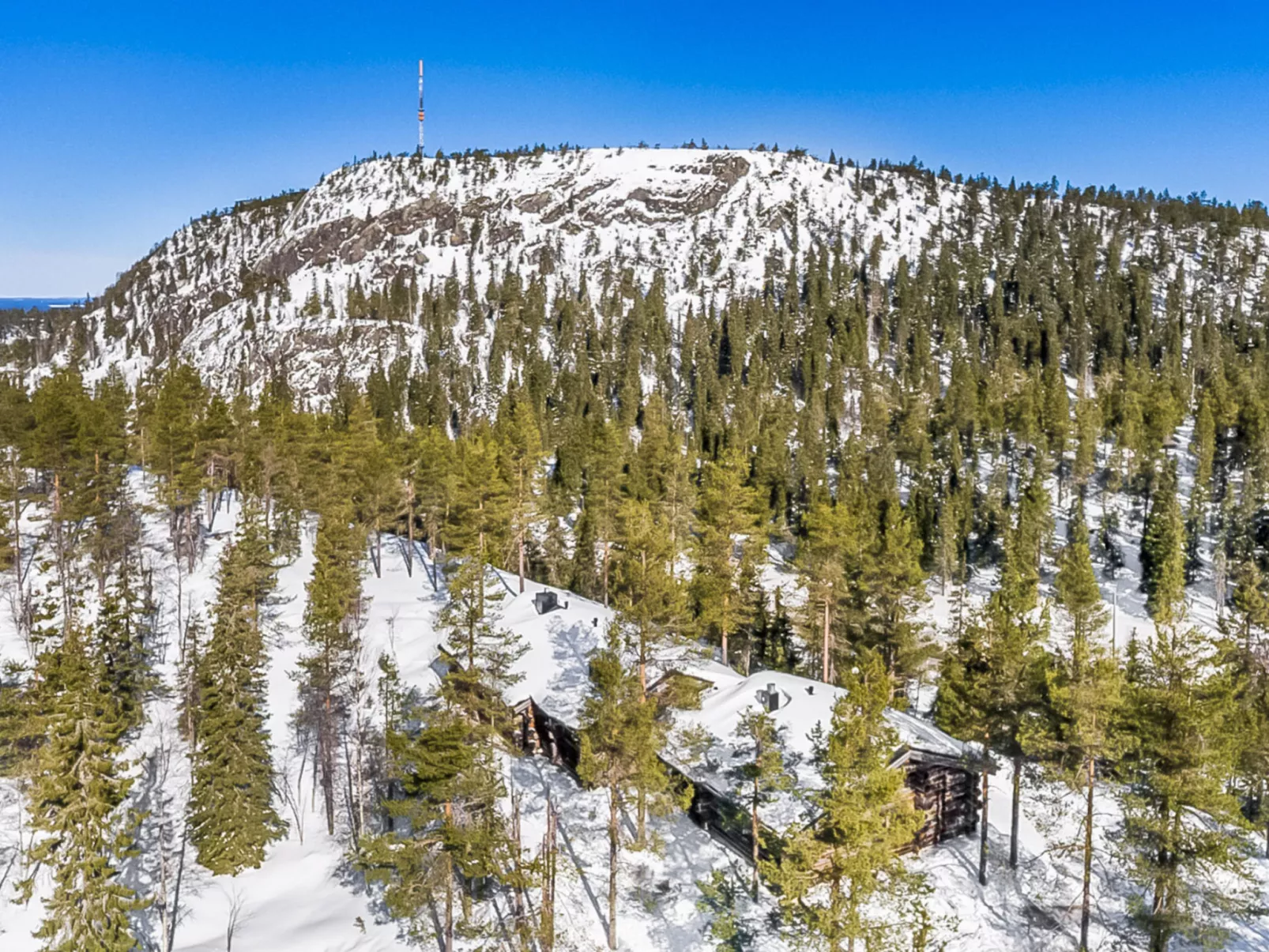 Rukan kelohuvila-Dedans