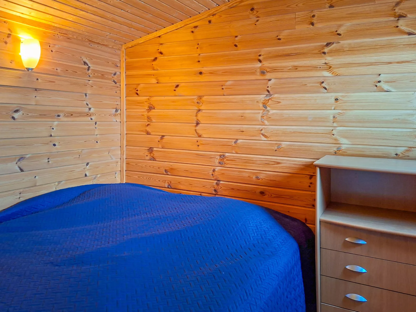 Villa joutsen-Drinnen