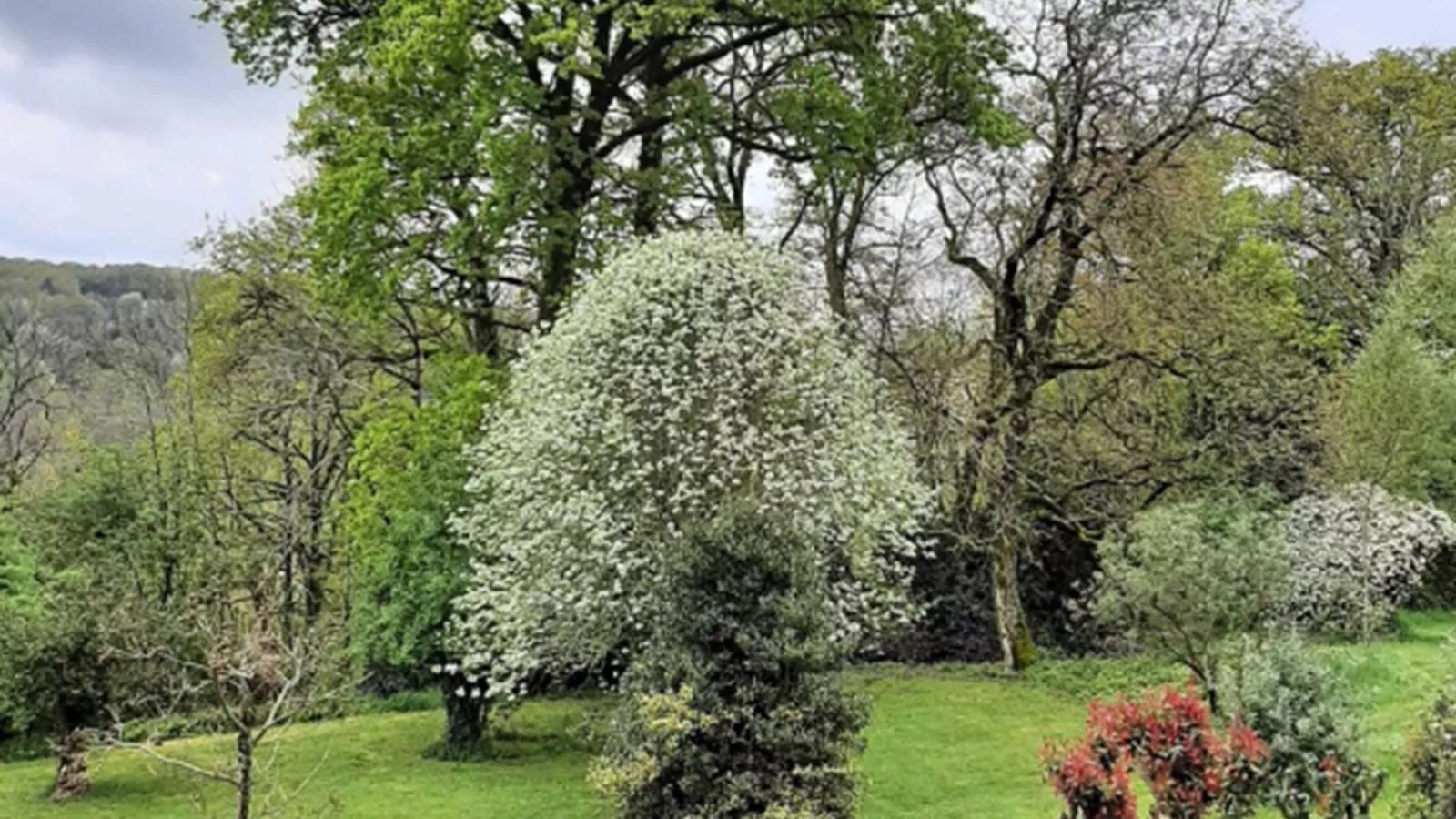 Chez Rambaud-Jardins en été