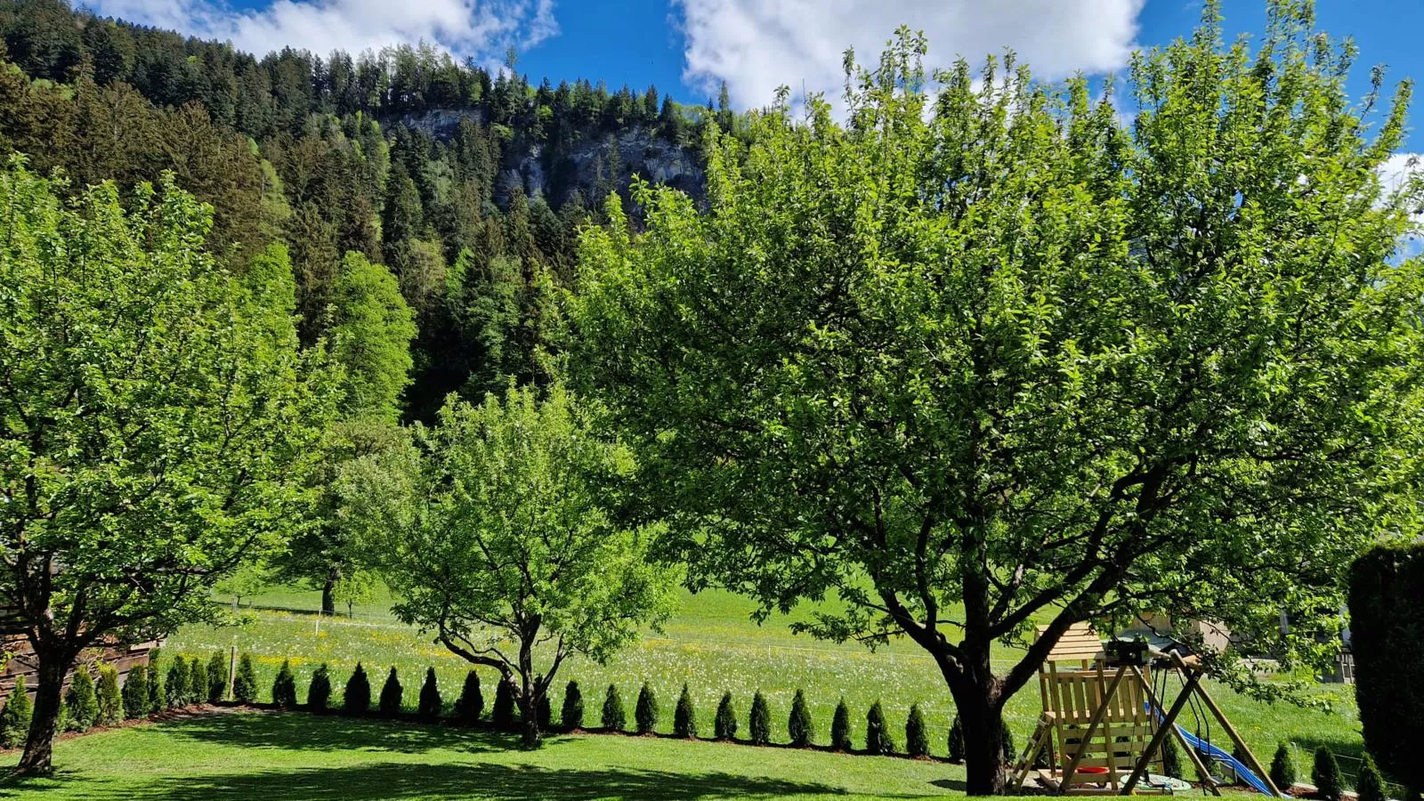 Schiestl-Garten Sommer