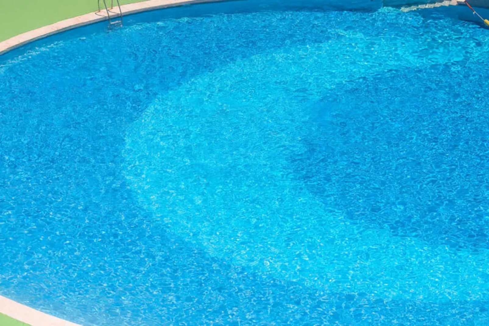 Studio à Roses-Untagged