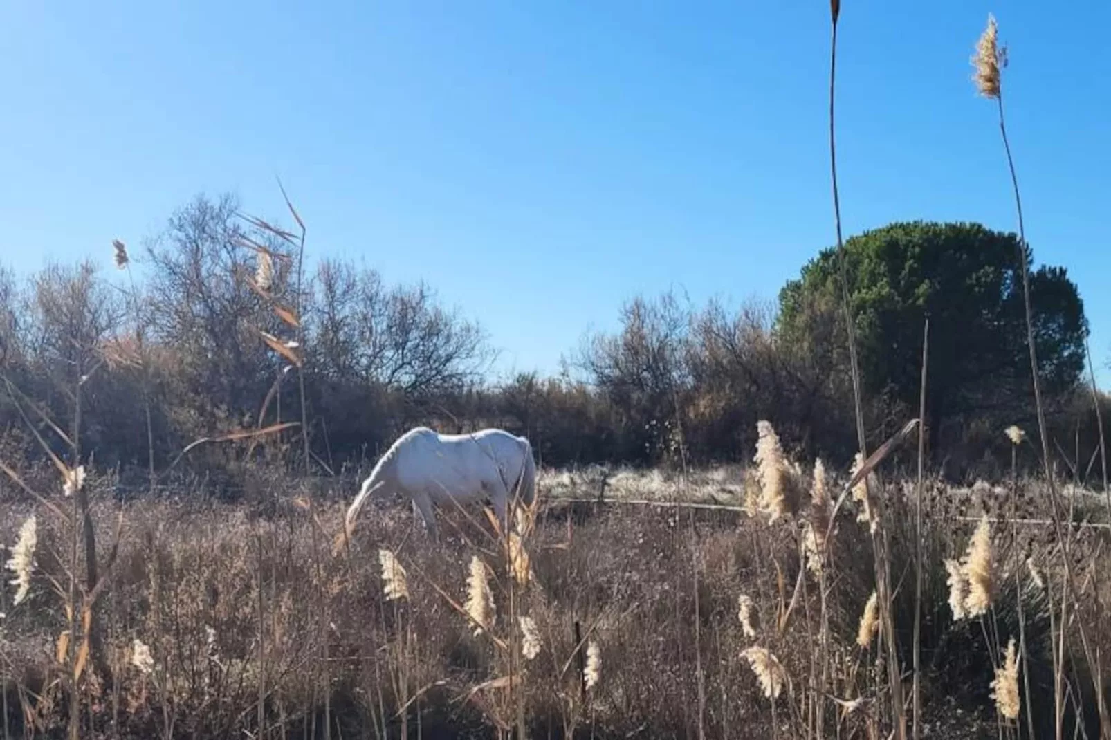 Résidence Terrasse 3 Entre Plage Et Port De Plaisance-Non tagué
