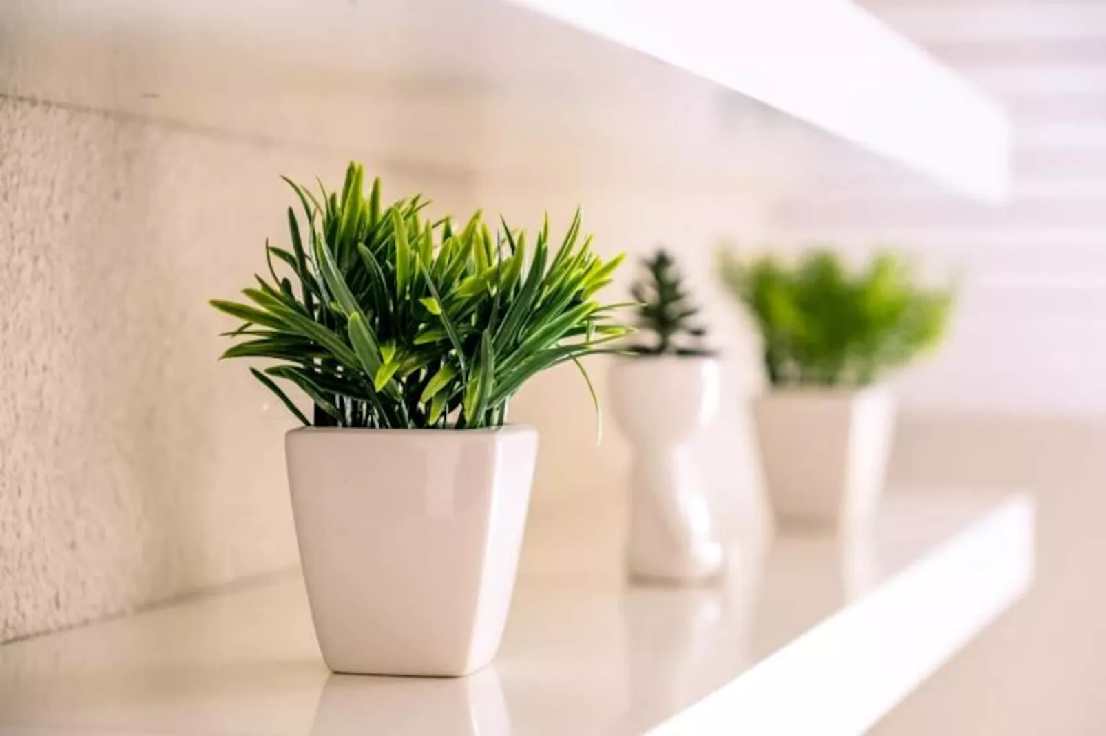 Slow Chalet Montblanc Soleil Sur Les Pistes Ascenseur Balcon, Vue, Parking-Untagged