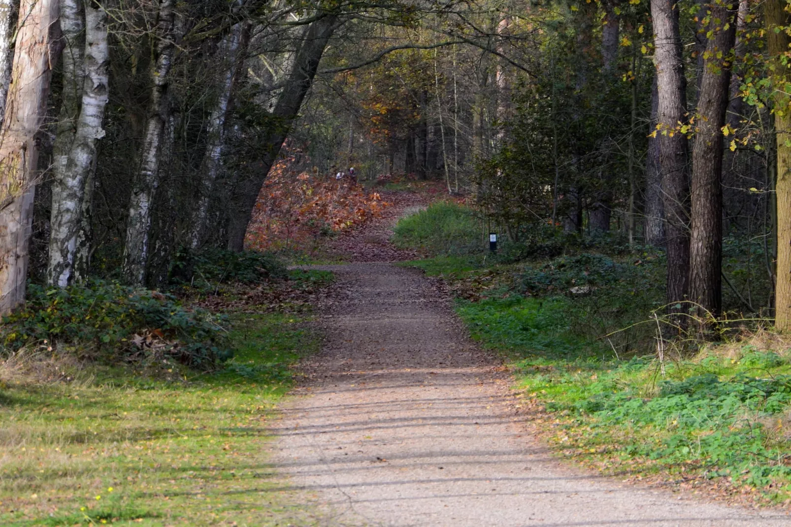 Boswoning-Zones été à 5 km