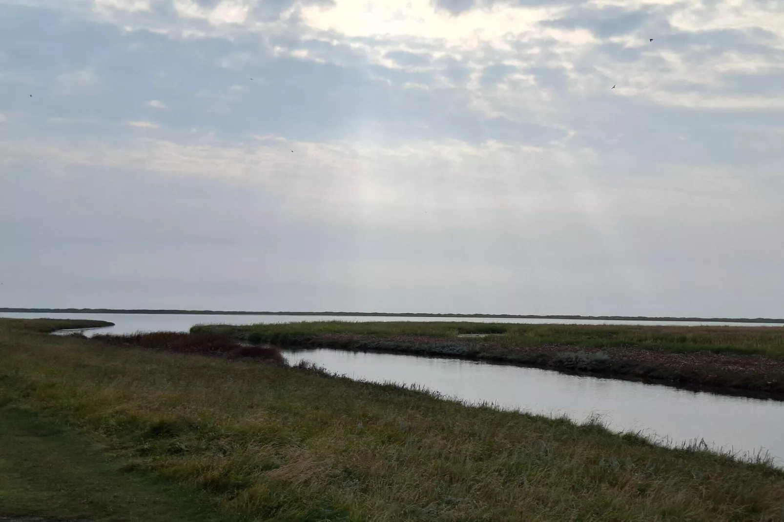 Maison de vacances pour 4 a Læsø-Vue sur l'eau