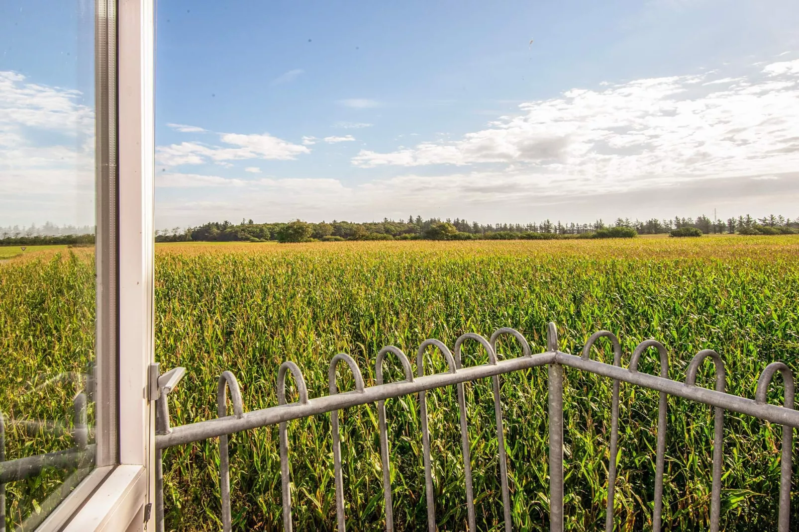 Maison de vacances pour 12 a Bredebro-By Traum-Vue